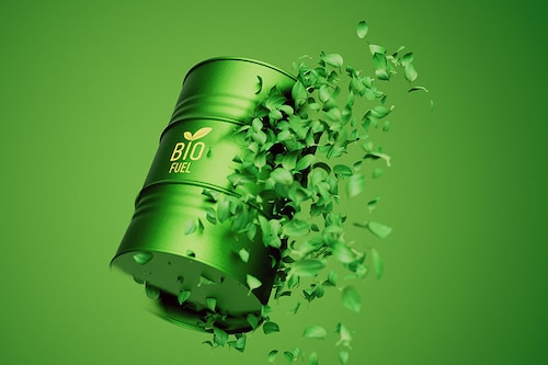 The large-scale production of biofuels could require the use of land for increased agricultural production. Image: Shutterstock The large-scale production of biofuels could require the use of land for increased agricultural production. Image: Shutterstock