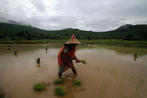 Monsoon rainfall has gathered pace in the first week of July. So far, normal rainfall is at 2 percent, which is above the long-period average (LPA) till 9 July, shows Indian Meteorological Department (IMD) data
Image: STR/NurPhoto via Getty Images Monsoon rainfall has gathered pace in the first week of July. So far, normal rainfall is at 2 percent, which is above the long-period average (LPA) till 9 July, shows Indian Meteorological Department (IMD) data
Image: STR/NurPhoto via Getty Images