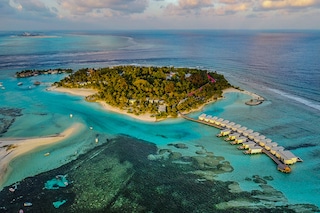 Representational image. Image credit: Shutterstock.