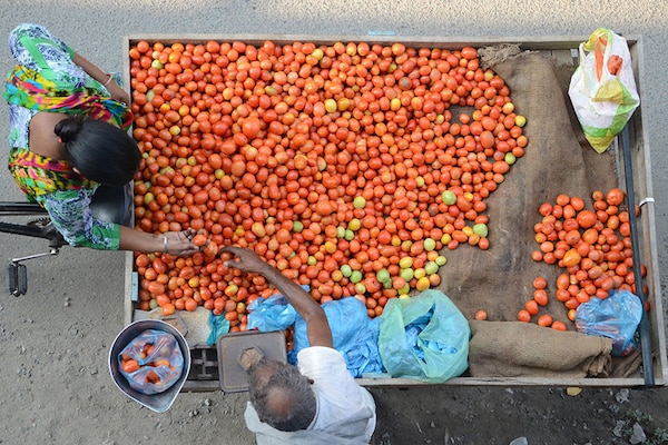 During the past three weeks, the cost of tomatoes has significantly surged in various cities throughout the country. Image: NARINDER NANU / AFPâ€‹