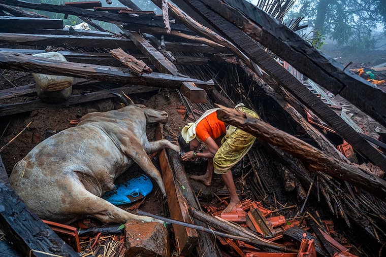 Ragi Pardhi, 45, whose 14 relatives died in the landslide at Irshalwadi village, Khalapur, in Raigad, bid farewell to a bull that died in the incident during rescue operations.
