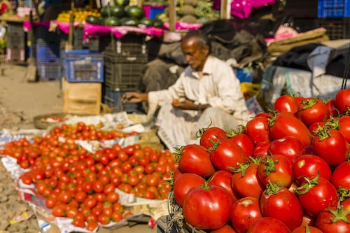 Tomato vendors are having a hard time procuring and selling tomatoes at a high prices.Image: Frank Bienewald/LightRocket via Getty Images Tomato vendors are having a hard time procuring and selling tomatoes at a high prices.Image: Frank Bienewald/LightRocket via Getty Images