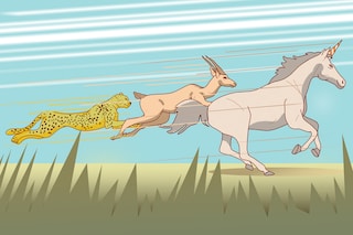 ASK Private Wealth Hurun India index comes up with a comprehensive list of valuations, numbers and types of ‘animals’, what is strikingly missing in the startup forest is animal instinct in terms of focusing on unit economics and building a sustainable business
Illustration: Chaitanya Dinesh Surpur