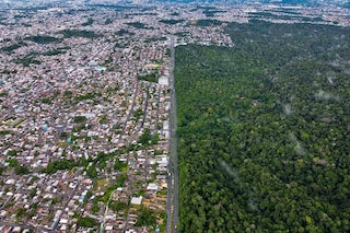 Brazil accounted for 43 percent of the tropical forest loss last year.
Image: Michael Dantas / AFP