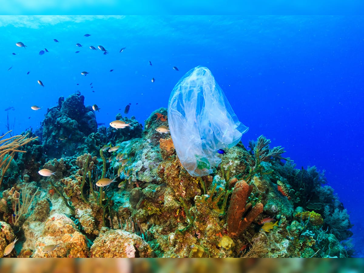 Rise in ocean plastic pollution 'unprecedented' since 2005