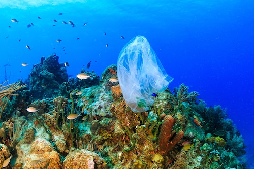 Fishing gear like nets and buoys often end up in the middle of the ocean, dumped or dropped by accident, while things like clothing, car tyres and single-use plastics often pollute nearer to the coast. Image: Iurii Stepanov / ShutterstockÂ©
