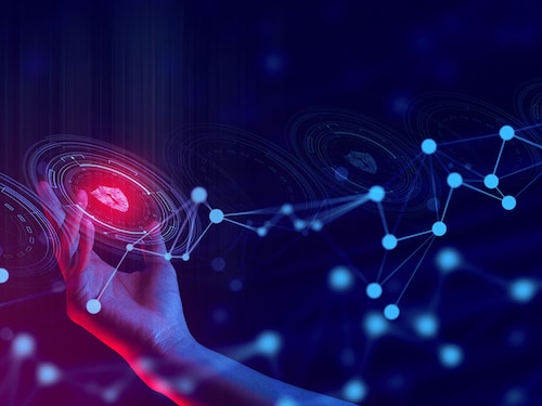 Scientific publications are full of examples of wild animals using drugs voluntarily, not accidentally.
Image: Shutterstock Scientific publications are full of examples of wild animals using drugs voluntarily, not accidentally.
Image: Shutterstock