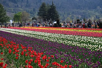 Tourists are seen at Asia"s largest tulip garden on March 28, 2023, in Srinagar, Jammu & Kashmir. Officials say over one lakh people visited the tulip garden in its opening week, majority of them being visitors from abroad and other states of India.