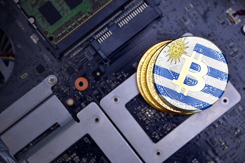 Image: Shutterstock Image: Shutterstock