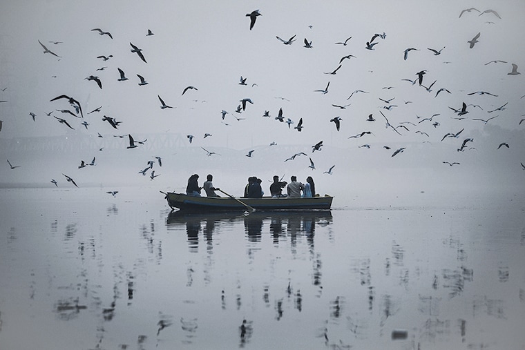 A man sitting in a boat feeds seagulls on the Yamuna River in Heavy smog as air pollution rises in Delhi NCR. The Air Quality Index (AQI) remained in the "very poor" category for the sixth consecutive day on November 3. As of Thursday at 11 am, Delhi"s Anand Vihar area is the worst hit area with AQI 740. The key reason behind the hazardous situation in Delhi NCR is low wind speed and continuous stubble burning in the Punjab state for the dropping of air quality levels.
