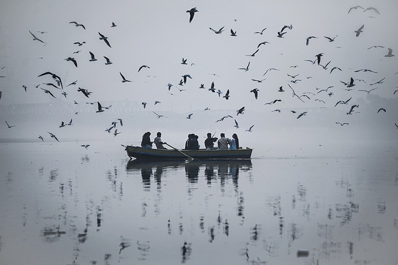 A man sitting in a boat feeds seagulls on the Yamuna River in Heavy smog as air pollution rises in Delhi NCR. The Air Quality Index (AQI) remained in the "very poor" category for the sixth consecutive day on November 3. As of Thursday at 11 am, Delhi"s Anand Vihar area is the worst hit area with AQI 740. The key reason behind the hazardous situation in Delhi NCR is low wind speed and continuous stubble burning in the Punjab state for the dropping of air quality levels.