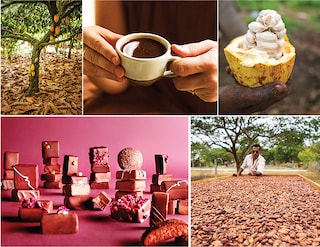 (Clockwise from top left) A cacao tree with fruits at one of the farms Manam sources from in West Godavari district Soklet’s organic brewing cacao and arabica coffee A cut cacao fruit shows the beans cacao beans drying at Regal Plantations Manam’s Indulgence collection
Image: Courtesy Soklet and Manam