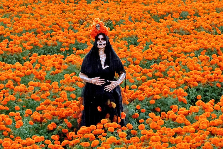 A woman dressed as Catrina poses for a photo in a field of Cempazuchitl flower—Mexican Marigold (Tagetes erecta)—as part of the preparations for the Day of the Dead celebration in Tlajomulco de Zuà’iga, Jalisco state, Mexico on October 26, 2023.