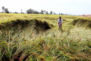 Monsoon continued to remain weak in the second week of September as dry spells continued with rains below normal.  Image: Sanjeev Kumar/Hindustan Times via Getty Images