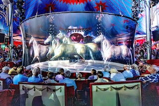 Spectators of the Roncalli Circus Show look at a hologram projection during a show in Luebeck, northern Germany.
Image: Axel Heimken / AFP