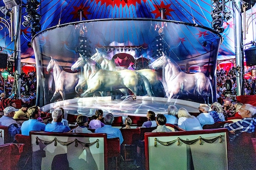 Spectators of the Roncalli Circus Show look at a hologram projection during a show in Luebeck, northern Germany.
Image: Axel Heimken / AFP Spectators of the Roncalli Circus Show look at a hologram projection during a show in Luebeck, northern Germany.
Image: Axel Heimken / AFP