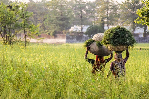 The late surge of "large excess" rainfall in Gujarat, Madhya Pradesh, and Rajasthan led to heavy flooding, thus the distribution of rainfall remains erratic. Image: Pisit Boonma/ Shutterstock