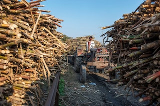 A sugarcane farmer is seen in a queue waiting to sell harvested sugarcane outside at Baghpat Cooperative Sugar Mills ltd, Baghpat, Uttar Pradaesh. Image: Pradeep Gaur/SOPA Images/LightRocket via Getty Images