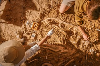 A study reveals that two dramatic episodes of global warming occurred over 50 million years ago. 
Image: Shutterstock