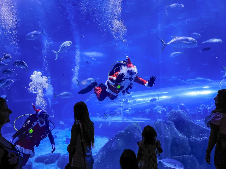 Senior animal handler Felipe Luna, dressed as Santa Claus, swims with sharks as he greets visitors from inside a tank at the AquaRio Marine Aquarium on December 21, 2024, in Rio de Janeiro, Brazil. Spread over 6.5 acres with 4.5 million litres of water, the Rio de Janeiro aquarium is the largest in South America and houses 360 species from Brazil and around the world.