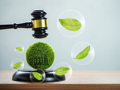 Image: Shutterstock Image: Shutterstock