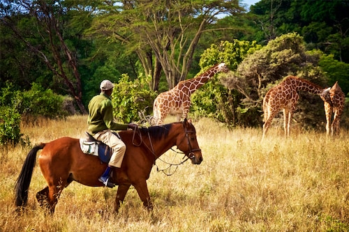 Kenya. Image credit: Shutterstock Kenya. Image credit: Shutterstock