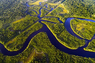 In the latest study, published in the journal Nature, an international group of scientists estimated that between 10 and 47 percent of the Amazon will be exposed to stress by 2050 that could lead to widespread ecosystem change. Image: Shutterstock