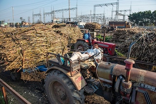 (File) Sugarcane farmers are seen in a queue waiting to sell harvested sugarcane outside at Baghpat cooperative sugar mills ltd, Baghpat. Image: Pradeep Gaur/SOPA Images/LightRocket via Getty Images