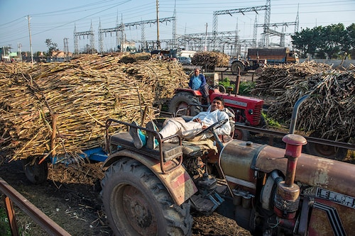 (File) Sugarcane farmers are seen in a queue waiting to sell harvested sugarcane outside at Baghpat cooperative sugar mills ltd, Baghpat. Image: Pradeep Gaur/SOPA Images/LightRocket via Getty Images