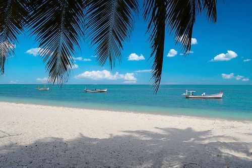 Agatti beach, Lakshadweep, India. Image: Shutterstock Agatti beach, Lakshadweep, India. Image: Shutterstock