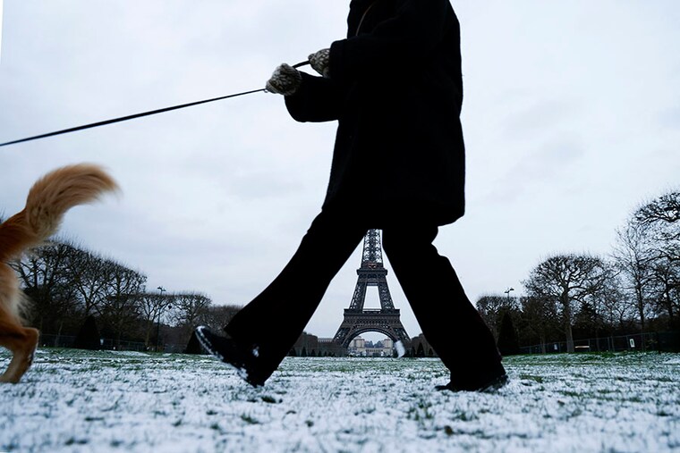 A person walks their Golden Retriever pet dog on the snow covered Champ de Mars, close to the Eiffel Tower in Paris on January 9, 2024. A cold snap on January 9, 2024 is effecting northeastern France, the Massif Central, and six departments in the northwest, including La Manche, which have been placed on orange alert for what promises to be the coldest day of the week in France.
