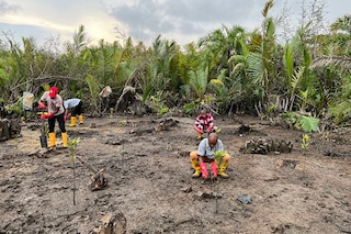 This photograph shows a view of mangrove and nipa palm tree forest along a river in Kono village on June 11, 2024.
Image: Kadiatou Sakho / AFP©