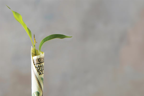 A collective effort to make it easier for businesses to support local deeptech startups will also contribute to the development of the ecosystem.
Image: Freepik.com