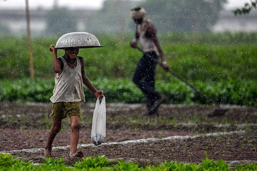 Overall, on a cumulative basis, rainfall remained in the "normal" range, though dipping to a slight deficit.
Image: AFP Overall, on a cumulative basis, rainfall remained in the "normal" range, though dipping to a slight deficit.
Image: AFP
