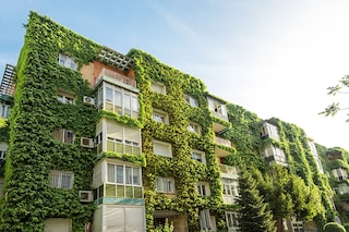 Green walls or vertical gardens can increase energy efficiency, reduce indoor and outdoor temperatures, and improve air quality
Image: Shutterstock