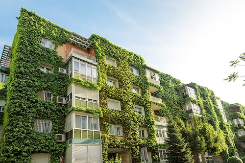 Green walls or vertical gardens can increase energy efficiency, reduce indoor and outdoor temperatures, and improve air quality
Image: Shutterstock