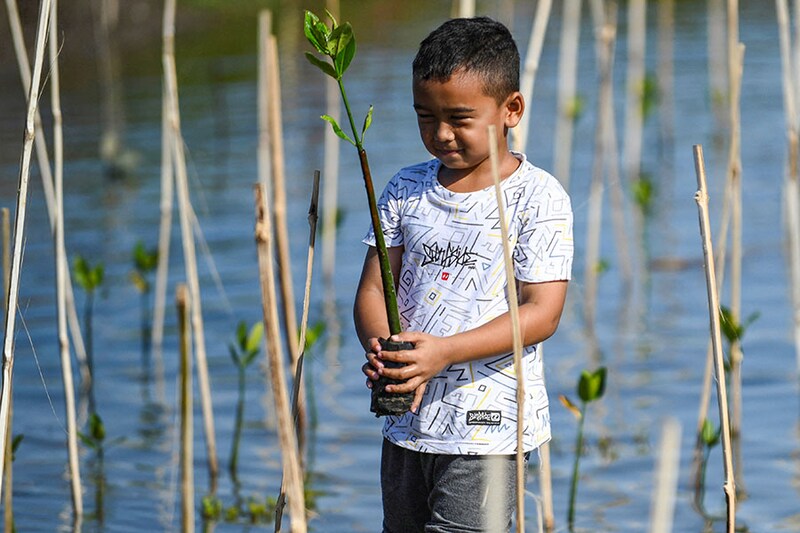 Nizam, 6, carrying a mangrove sapling takes part in mangrove planting, marking World Environment Day, at Mangrove Park Lampulo in Banda Aceh, Indonesia, June 5, 2024.