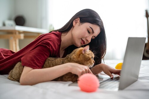 Millions of people in China are using Xianyu, Alibaba"s secondhand sales platform, to find a partner for their pet. Image: Kawee Srital-on/Getty Images