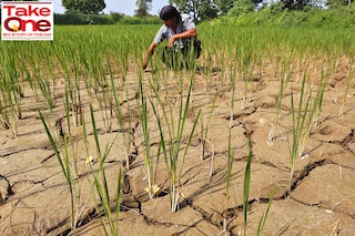 Nearly 50 percent of India’s agricultural land depends solely on the monsoon for irrigation. A poor monsoon can lower agricultural output and stoke higher food prices and inflation. 
Image: Amit Dave / Reuteres
