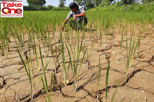 Nearly 50 percent of India’s agricultural land depends solely on the monsoon for irrigation. A poor monsoon can lower agricultural output and stoke higher food prices and inflation. 
Image: Amit Dave / Reuteres Nearly 50 percent of India’s agricultural land depends solely on the monsoon for irrigation. A poor monsoon can lower agricultural output and stoke higher food prices and inflation. 
Image: Amit Dave / Reuteres