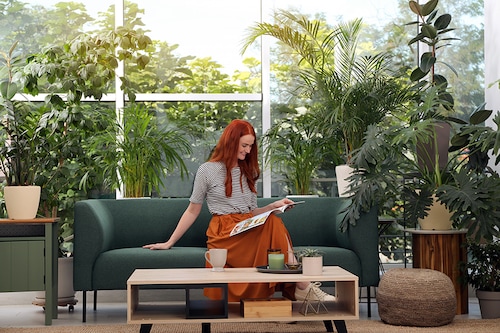 Image: Shutterstock Image: Shutterstock