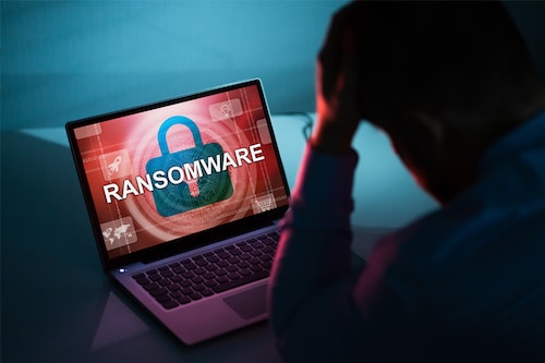 Image: Shutterstock Image: Shutterstock
