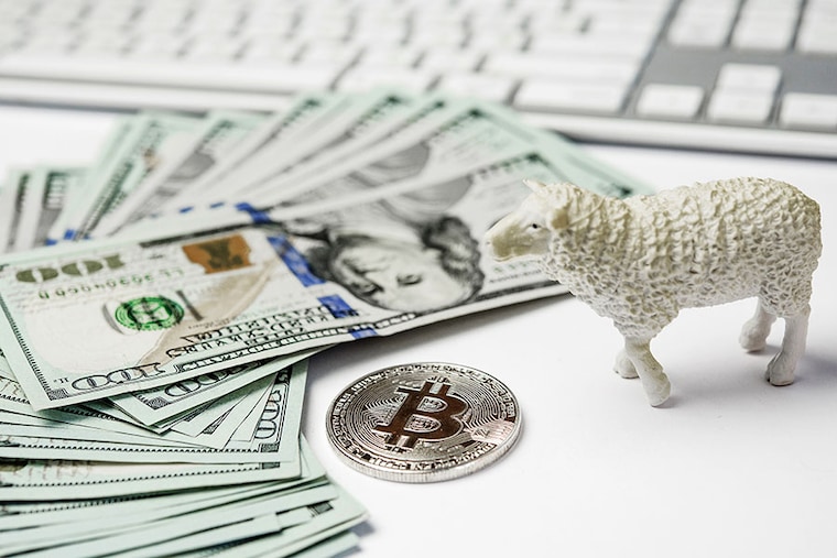 Herd behavior can have both positive and negative effects, depending on the situation.
Image: Shutterstock