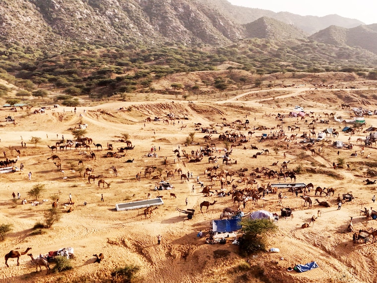 This aerial view shows a caravan of camels during the annual Camel Fair at Pushkar in Rajasthan, India"s desert state, on November 6, 2024.