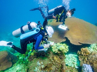 A report said that in 2023, more than 20 percent of the world"s oceans experienced at least one severe to extreme marine heatwave, events that have ripple effects for marine life and fisheries.
Image: Lillian Suwanrumpha / AFPÂ©