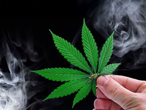 California already hosts "cannabis lounges," where dispensaries are attached to separate bars or restaurants.
Image: Shutterstock California already hosts "cannabis lounges," where dispensaries are attached to separate bars or restaurants.
Image: Shutterstock