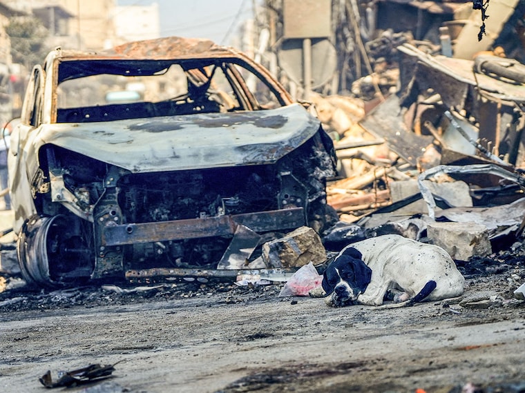 A dog sits next to a destroyed vehicle in the aftermath of what security sources said was an Israeli strike on a market amid the ongoing hostilities between Hezbollah and Israeli forces in Nabatieh, southern Lebanon, October 13, 2024.