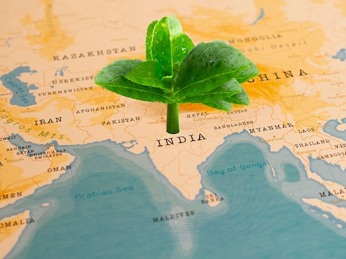 India"s commitment to decarbonising its energy sector by 50 percent by 2030—expressed during the COP26 summit—is ambitious yet imperative.
Image: Shutterstock