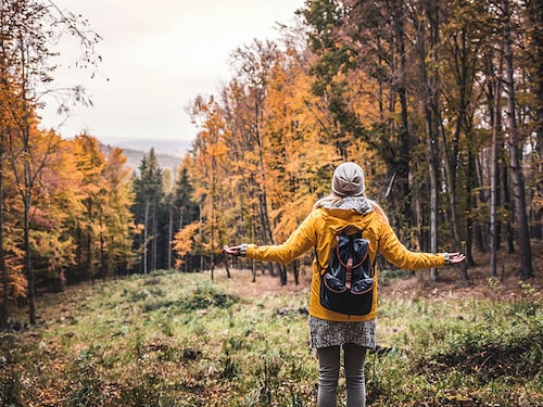 Extensive research underscores the beneficial effects of nature on mental health, often linking green spaces to a "natural drug.
Image: Shutterstock Extensive research underscores the beneficial effects of nature on mental health, often linking green spaces to a "natural drug.
Image: Shutterstock