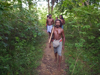 Sri Lanka"s forest-dwelling Veddas - the first inhabitants of this island and the last surviving bastion of their ancient way of life - have largely transitioned to village life
Image: Shutterstock